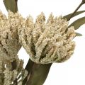 Floristik21 Kunstblume mit 6 Blüten beflockt Beige Grün 3er-Bund H38cm