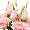 Floristik21 Kunstblumen Lisianthus Rosa künstlich Seidenblumen 50cm 5St