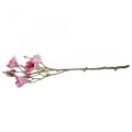Floristik21 Kunstblume Magnolienzweig, Magnolie Pink Rosa 92cm