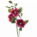 Floristik21 Kunstblume Magnolienzweig, Magnolie künstlich Pink 65cm 3St