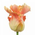 Floristik21 Kunstblume, Papagei Tulpe Orange, Frühlingsblume 63cm