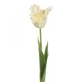 Floristik21 Kunstblume, Papagei Tulpe Weiß Grün, Frühlingsblume 69cm