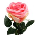 Floristik21 Kunstblume Rose gefüllt pink Ø10cm L65cm 3St