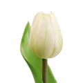 Floristik21 Kunstblume Tulpe Weiß Real Touch Frühlingsblume H21cm