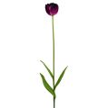 Floristik21 Kunstblumen Tulpen Lila-Grün 84cm - 85cm 3St