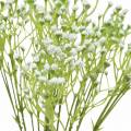 Floristik21 Gypsophila Schleierkraut künstlich im Bund Weiß 46cm 5St