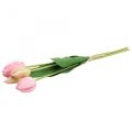 Floristik21 Kunstblumen Tulpe Rosa, Frühlingsblume 48cm 5er-Bund