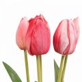 Floristik21 Kunstblumen Tulpe Rot, Frühlingsblume 48cm 5er-Bund