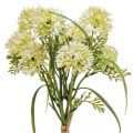 Floristik21 Kunstblumen Weiß Allium Deko Zierlauch 34cm 3St im Bund