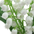 Floristik21 Künstliche Maiglöckchen Weiß 25cm 3St