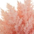 Floristik21 Kunstpflanze Astilbe Deko Zweige Künstlich Rosa H38cm 5St