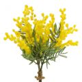Floristik21 Kunstpflanze, Silber-Akazie, Deko Mimose Gelb, 39cm 3St
