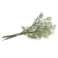 Floristik21 Kunstpflanzen Silberblatt weiß-grün 40cm 6St