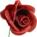 Kunstrosen Bordeaux Wachsrosen Deko Rosen Wachs Ø6cm 18 St | Floristik21.de
