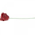 Kunstrosen Bordeaux Wachsrosen Deko Rosen Wachs Ø6cm 18 St | Floristik21.de
