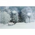 Floristik21 LED Bild Weihnachten Winterlandschaft mit Parkbank LED Wandbild 58x38cm