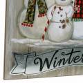 Floristik21 LED-Wandbild Schneemann „Hello Winter“ 23×38,5cm Für Batterie