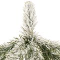 Kunstpflanze Tannenbaum 50cm
