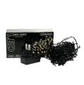 Floristik21 LED Reislichterkette 180er 13,5m schwarz/Warmweiß