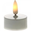 Floristik21 LED-Teelichter Warmweiß, LED-Lichter Flammeneffekt, künstliche Kerzen Ø3,6cm 6er-Set