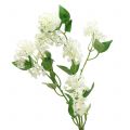 Floristik21 Wandelröschen Lantana Zweig künstlich Weiß 80cm