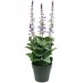 Floristik21 Deko-Pflanze Lavendel, Mediterraner Lavendeltopf, Kunstblume Violett