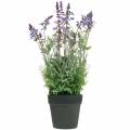 Floristik21 Blumendeko Lavendel im Topf Kunstpflanzen