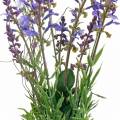 Floristik21 Künstlicher Lavendelstrauß, Deko-Lavendel Violett, Seidenblumen