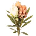 Floristik21 Kunstblume Protea Leucadendron Kunststoff 65cm Creme Gelb Orange Set 3St Innenbereich