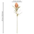 Kunstblume Protea Leucadendron Kunststoff 65cm Creme Gelb Orange Set 3St Innenbereich | Floristik21.de