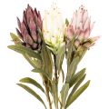 Protea Kunstblume Leucadendron