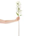 Künstlicher Lilienzweig weiß 80cm Kunststoff/Textil für Innenbereiche | Floristik21.de