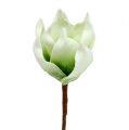 Floristik21 Magnolienblüte aus Foamstoff Weiß-Grün Ø10cm L26cm 4St
