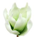 Floristik21 Magnolienblüte aus Foamstoff Weiß-Grün Ø10cm L26cm 4St