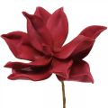 Floristik21 Künstliche Magnolie Rot Kunstblume Foam Blumendeko Ø10cm 6St