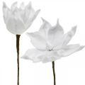 Floristik21 Künstliche Magnolie Weiß Kunstblume am Stiel Ø10cm Foam 6St