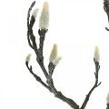 Floristik21 Frühling, Magnolienast mit Knospen, künstliche Dekozweig Braun, Weiß L100cm