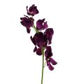 Floristik21 Mokara Orchidee Lila 50cm künstlich 6St