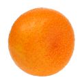 Floristik21 Mandarine Ø7cm Orange
