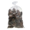 Maritima Zapfen 14/18 natur 25St | Floristik21.de