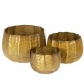 Floristik21 Metall Deko Blumentopf Messing Ø22/18/14cm 3er-Set