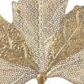 Floristik21 Metall Wanddekoration Ahornblatt Kerzenhalter Golden Antik 42cm × 39cm
