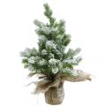 Floristik21 Mini Weihnachtsbaum im Sack Verschneit Ø25cm H42cm