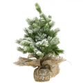 Floristik21 Mini Weihnachtsbaum im Sack Verschneit Ø25cm H42cm