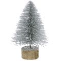 Floristik21 Weihnachtsdeko Tannenbaum Silber mit Glitzer 6St