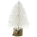 Floristik21 Mini-Weihnachtsbaum Weiß beglitzert 6St