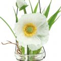 Floristik21 Mohnblume im Glas zum Hängen Weiß H22cm