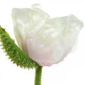 Floristik21 Künstliche Mohnblume, Seidenblume Weiß-Rosa L55/60/70cm 3er-Set