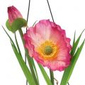 Floristik21 Mohnblume im Glas zum Hängen Pink H22cm