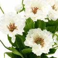 Mohn im Topf Weiß Seidenblumen Blumendeko